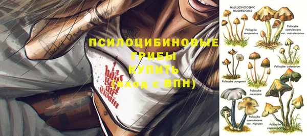 СК Нефтегорск