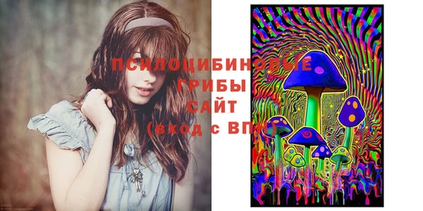 ешки Алексин