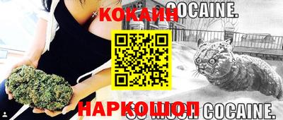 PSILOCYBIN Заводоуковск