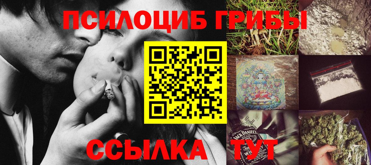 Галлюциногенные грибы Magic Shrooms  Россошь  как найти наркотики  Псилоцибиновые грибы Psilocybine cubensis 