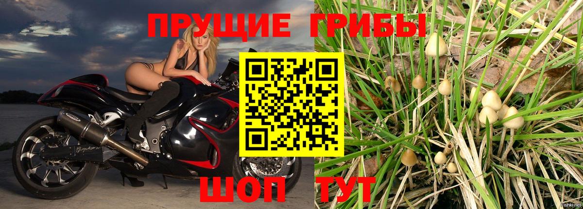 Галлюциногенные грибы Psilocybine cubensis Россошь