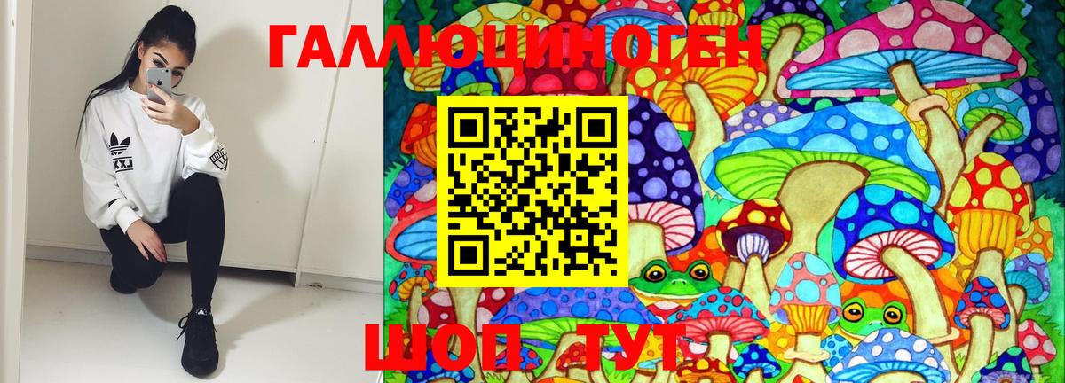 Россошь  Псилоцибиновые грибы Psilocybe  Вход с VPN 