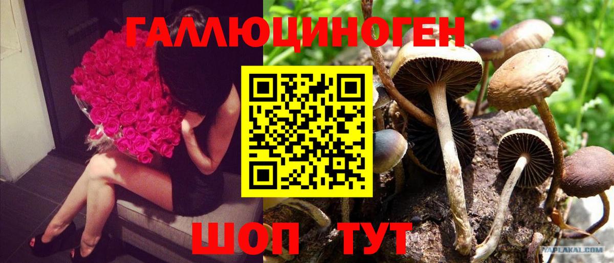 Конопля Россошь